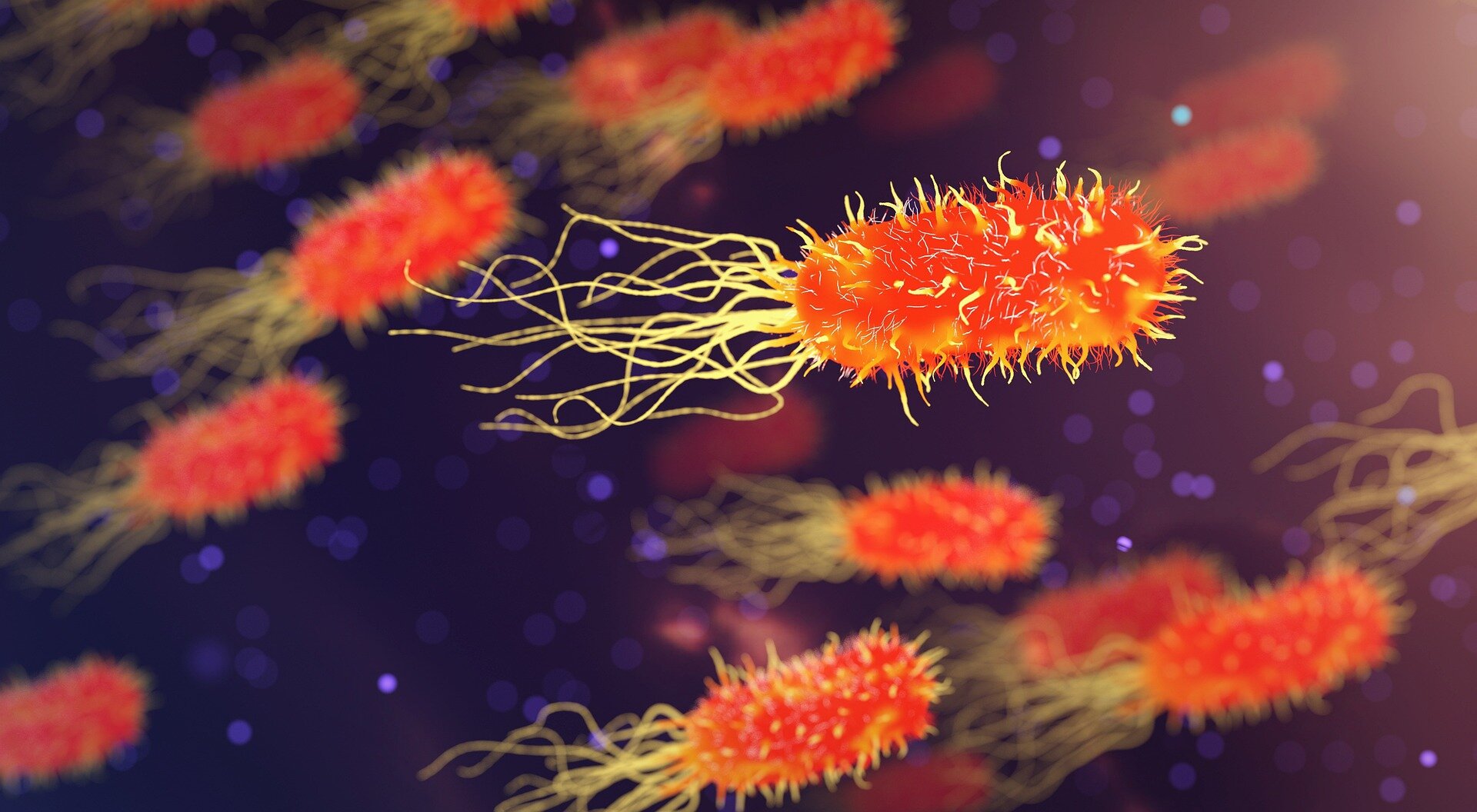 El virus recién descubierto puede matar bacterias resistentes
