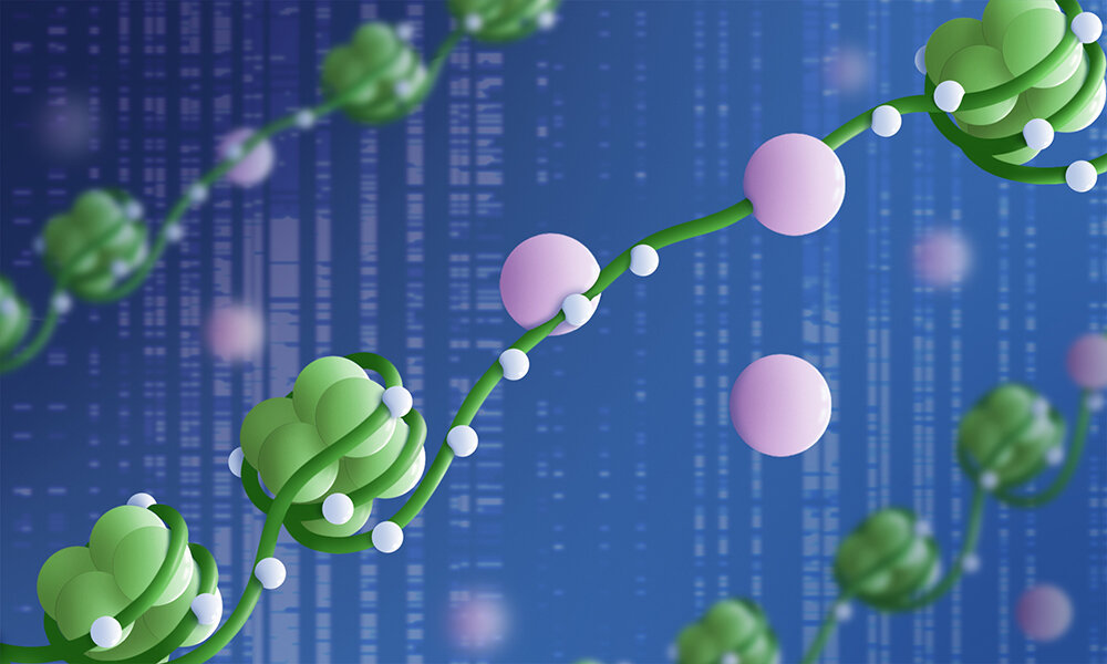 Estudiar la regulación epigenética a nivel de molécula única