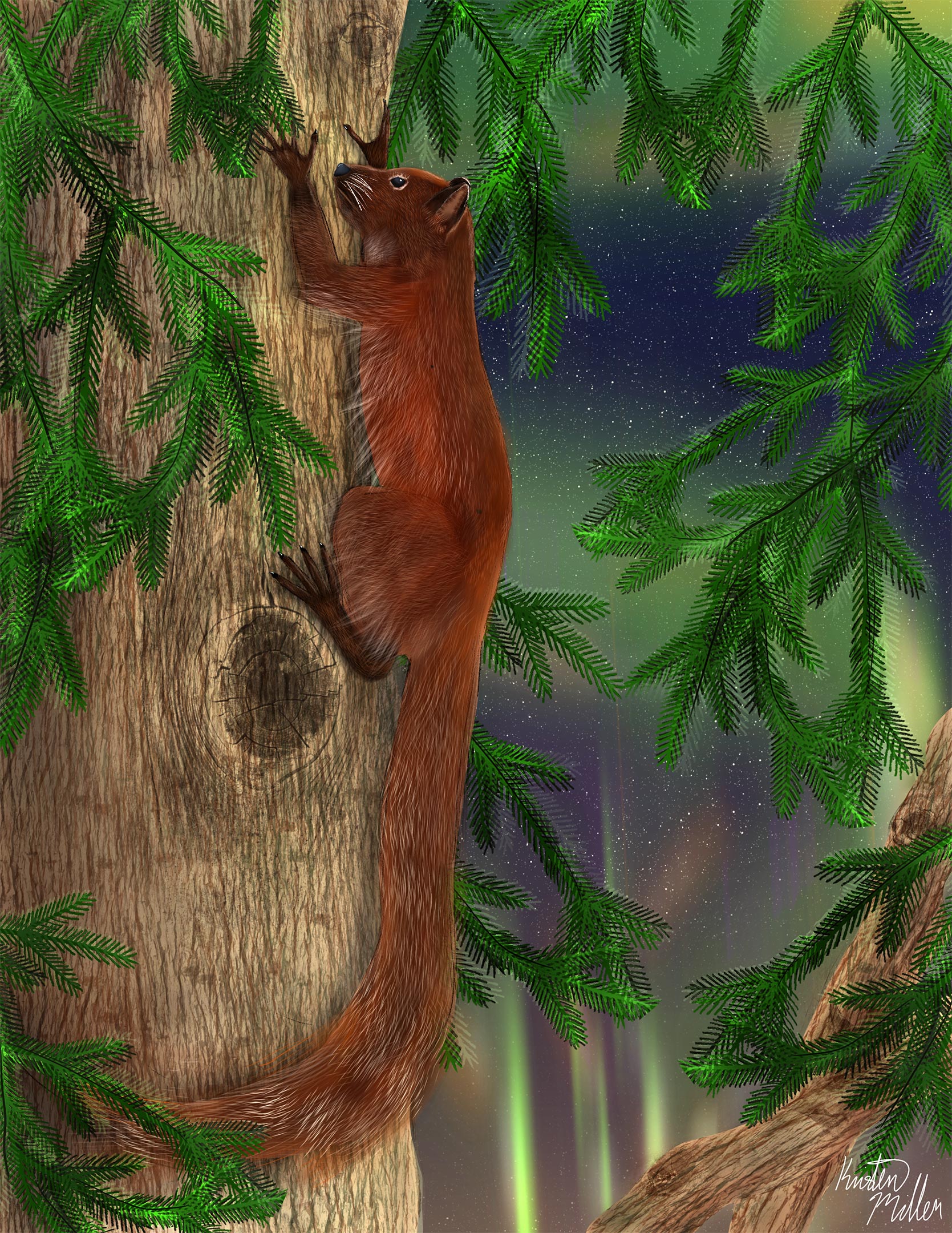 Ignacius dawsonae Artist’s Reconstruction
