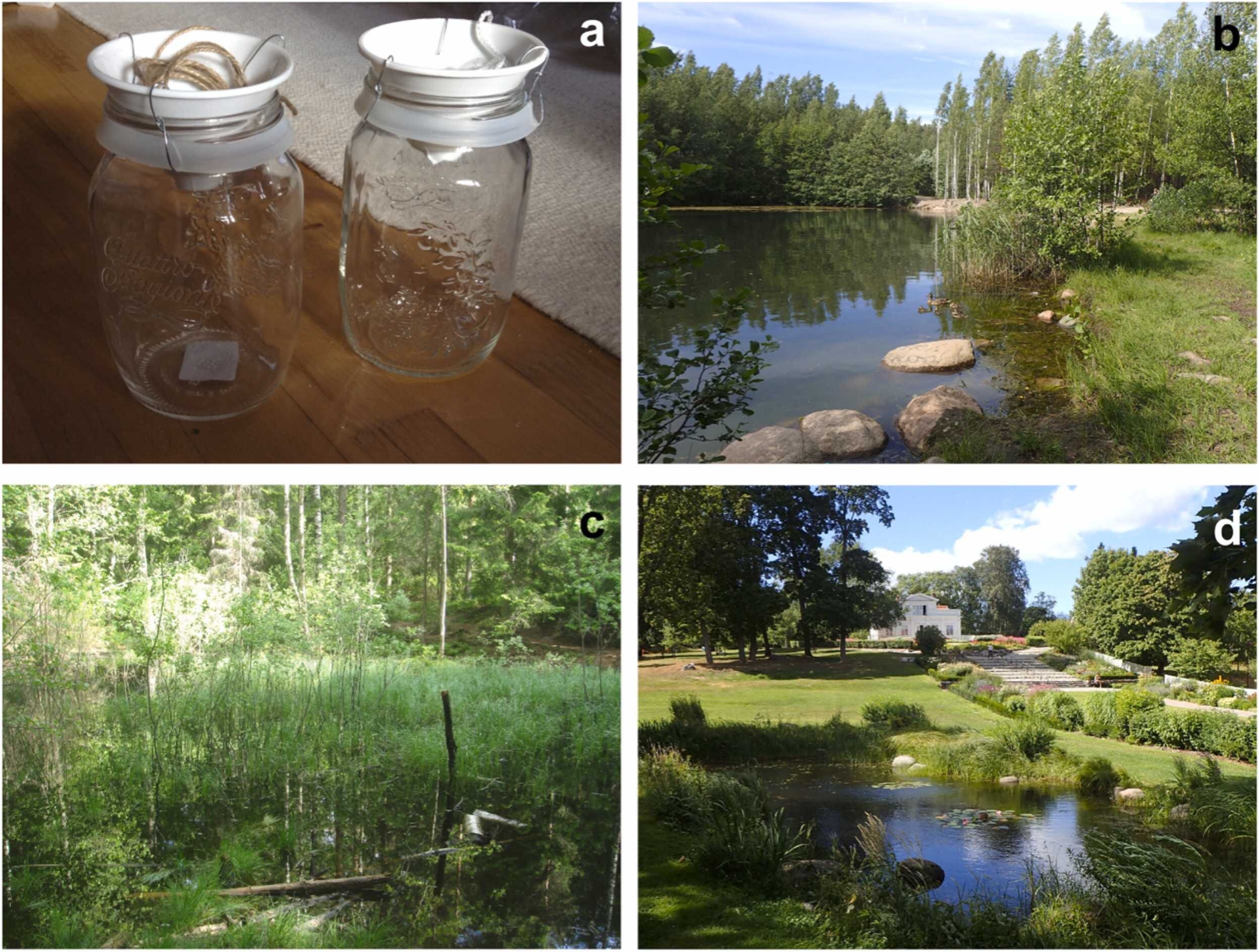 Los estanques urbanos requieren atención para garantizar la biodiversidad, muestra un estudio