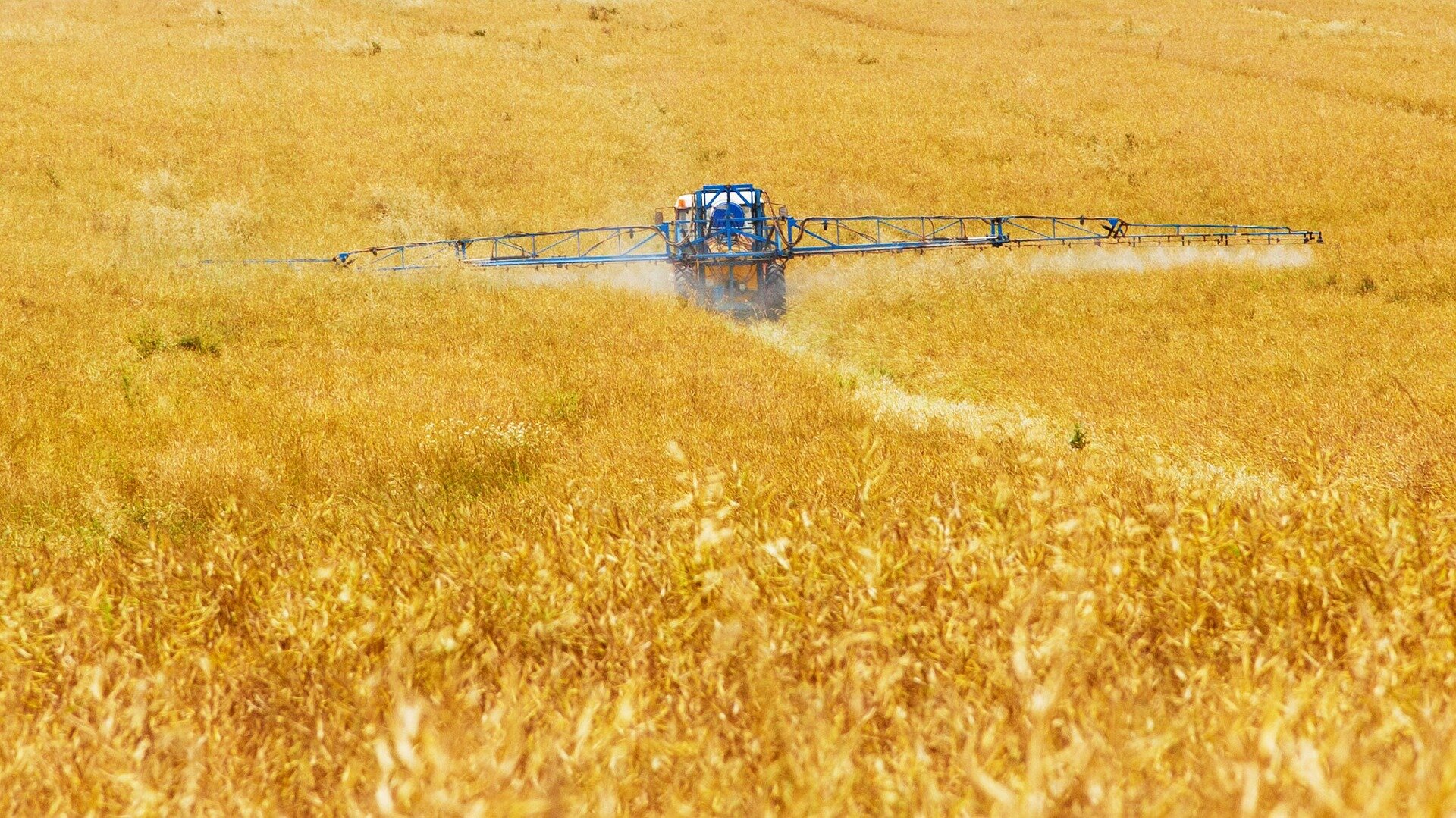 Los llamados pesticidas 'seguros' tienen efectos sorprendentemente nocivos