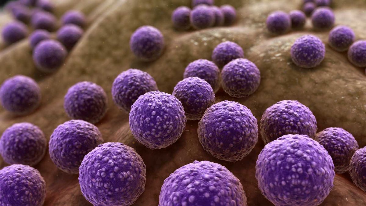 ¿Qué surgió primero: los virus o las células vivas?
