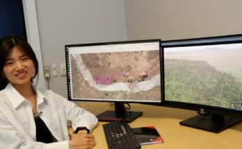 Uso de IA para ampliar los límites de las tecnologías de estudio de vida silvestre