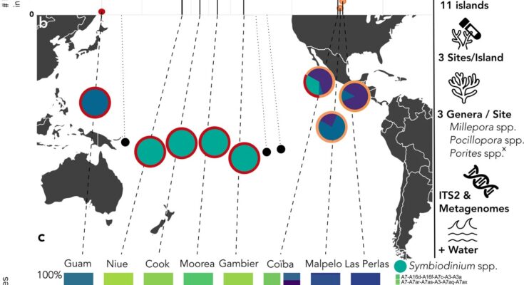 Virus antiguos descubiertos en el ADN de los simbiontes de coral