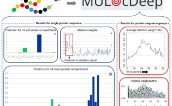 El software de IA puede proporcionar una "hoja de ruta" para los descubrimientos biológicos