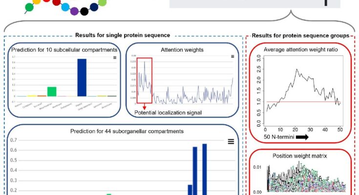 El software de IA puede proporcionar una "hoja de ruta" para los descubrimientos biológicos