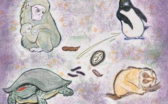 Adaptive System of Disgust