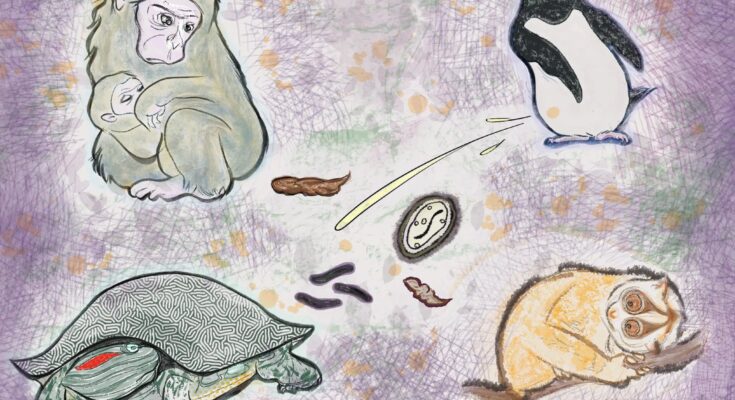 Adaptive System of Disgust