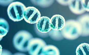DNA Circles Illustration