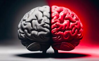 Brain Bad Good Evil Sides Concept