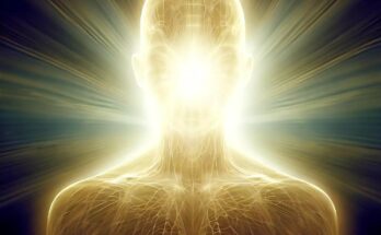 Glowing Human Lifespan Longevity