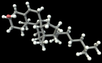 Grasa de mil millones de años insinúa una larga historia de células complejas