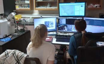 Estudio de WSU encuentra que las plantas pueden sentir cuando las tocan