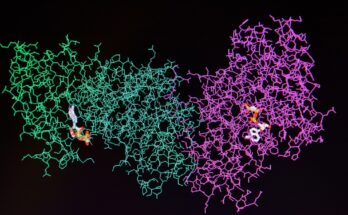 Proteomics, protein