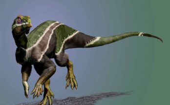 Iani Smithi dinosaur