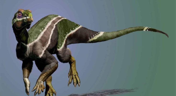 Iani Smithi dinosaur
