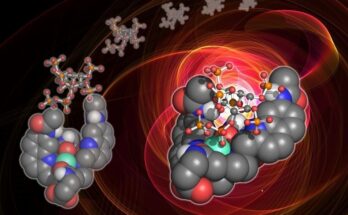 Scientists develop probe that could unlock the mysteries of a vital cellular messenger and pave the way for new drug discoveries