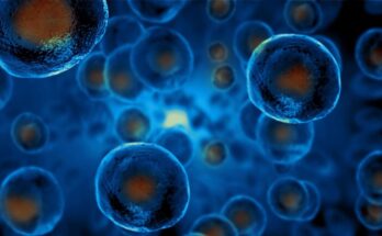 ¿La vida evolucionó más de una vez?  Los investigadores se están acercando a una respuesta