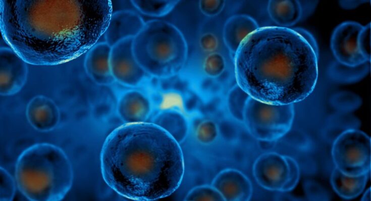 ¿La vida evolucionó más de una vez?  Los investigadores se están acercando a una respuesta