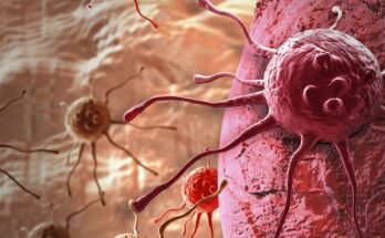 CPRIT otorga $2 millones a SMU para contratar a la investigadora de biología del cáncer Annika Wylie