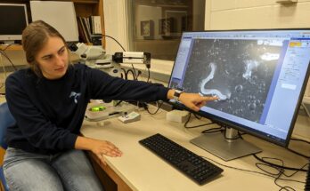 Student points to an image projected onto a computer screen