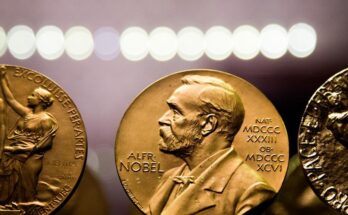 Pioneros en biología sintética y secuenciación de ADN de próxima generación predicen el premio Nobel de Química |  las noticias