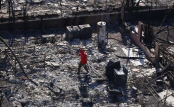 Funcionarios de Hawái dicen que las pruebas de ADN reducen el número de muertos por el incendio de Maui a 97 - KION546