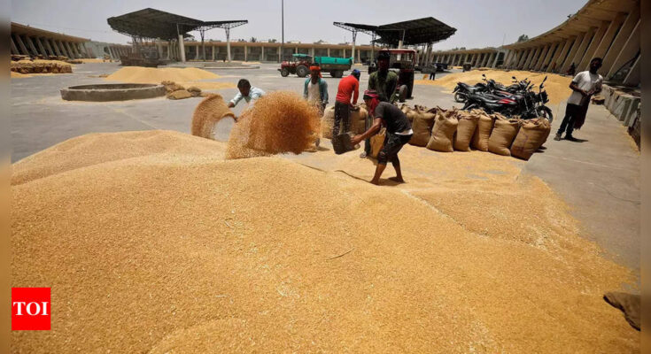 Producción de trigo en la India: cómo 100 kg de semillas de México convirtieron a la India en una canasta de trigo |  Noticias de la India