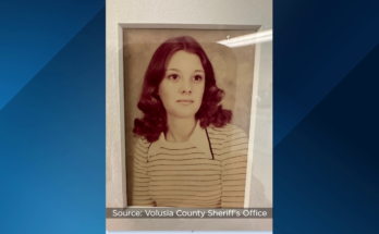 Pruebas de ADN identifican a una mujer encontrada muerta en 1990, madre de tres hijos en el condado de Volusia - WFTV