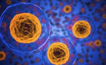 Bruker comprará la empresa de biología celular PhenomeX por 108 millones de dólares