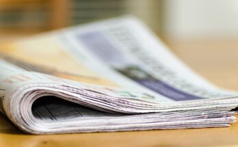 El Consejo Europeo de Investigación concede becas a cuatro académicos de Cambridge
