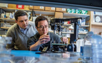 VivoDene se lanza con 38 millones de dólares para crear órganos humanos cultivados en laboratorio
