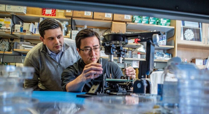 VivoDene se lanza con 38 millones de dólares para crear órganos humanos cultivados en laboratorio