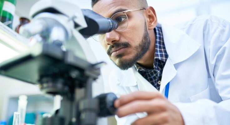 Cómo convertirse en técnico de laboratorio - Forbes Advisor