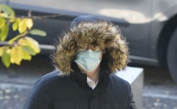 Técnicos de laboratorio 'descargaron documentos terroristas según lo investigado Breaking Bad Show'