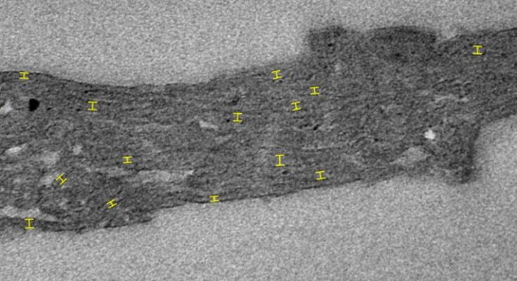 Los científicos descubren un misterio de 1.750 millones de años sobre el origen de la vida: alerta científica