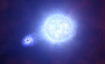 En un gran acontecimiento, los científicos detectan un 'eslabón perdido' entre las estrellas y los agujeros negros: alerta científica