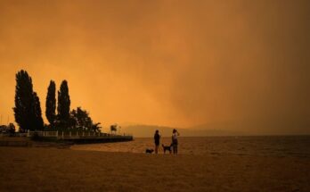 Teoría de números: cómo las temperaturas de la superficie del mar batieron récords en 2023 | Últimas noticias India