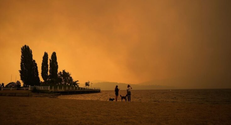 Teoría de números: cómo las temperaturas de la superficie del mar batieron récords en 2023 |  Últimas noticias India