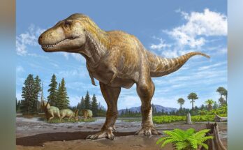 Un estudio de Nuevo México muestra que una subespecie de dinosaurio recién descubierta es anterior al Tyrannosaurus Rex