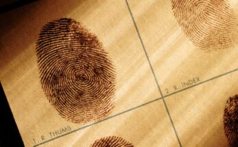 ¿Son las huellas dactilares únicas?  En realidad no, dice un estudio basado en IA