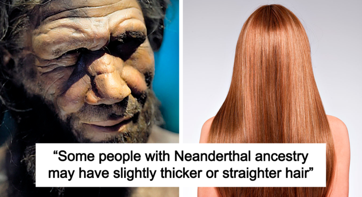6 rasgos que indican que puedes tener ADN neandertal, según un ingeniero genético