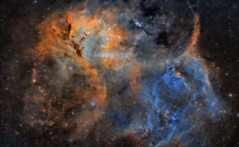 Adición temprana: el espacio huele mal
