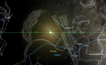 a green line cuts across the center, a small yellow sun is bisected in the middle. the large top half of a translucent centaur is seen, outlined in blue within to show the constellation