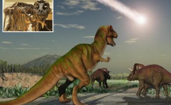 Lo que pensábamos que sabíamos sobre el T. rex estaba equivocado, afirman investigadores en un nuevo estudio