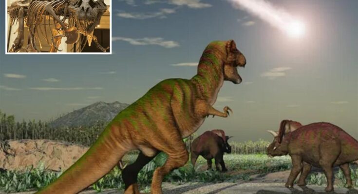 Lo que pensábamos que sabíamos sobre el T. rex estaba equivocado, afirman investigadores en un nuevo estudio