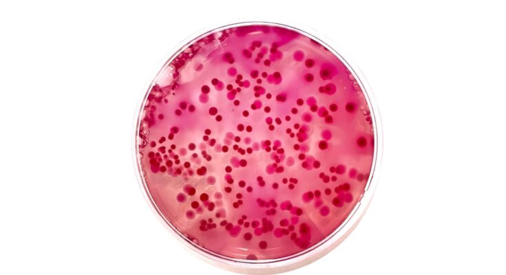 Los científicos han descubierto decenas de especies bacterianas previamente desconocidas en pacientes hospitalizados.