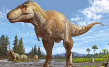 Un primo mayor del T.rex fue descubierto en Nuevo México
