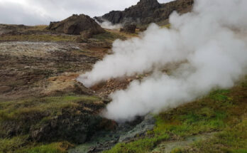 El calentamiento global aumenta la diversidad de bacterias activas del suelo