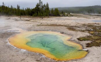 Una sustancia química fundamental para la vida se formó en las condiciones encontradas en la Tierra primitiva